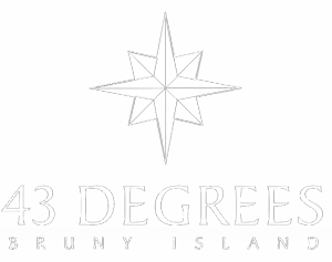 43 Degrees Logo